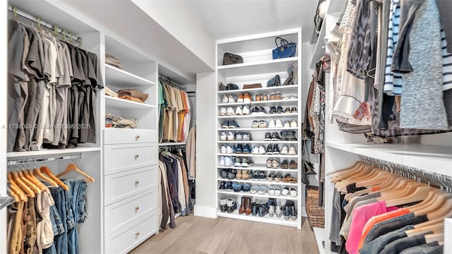 spacious closet with light hardwood / wood-style flooring