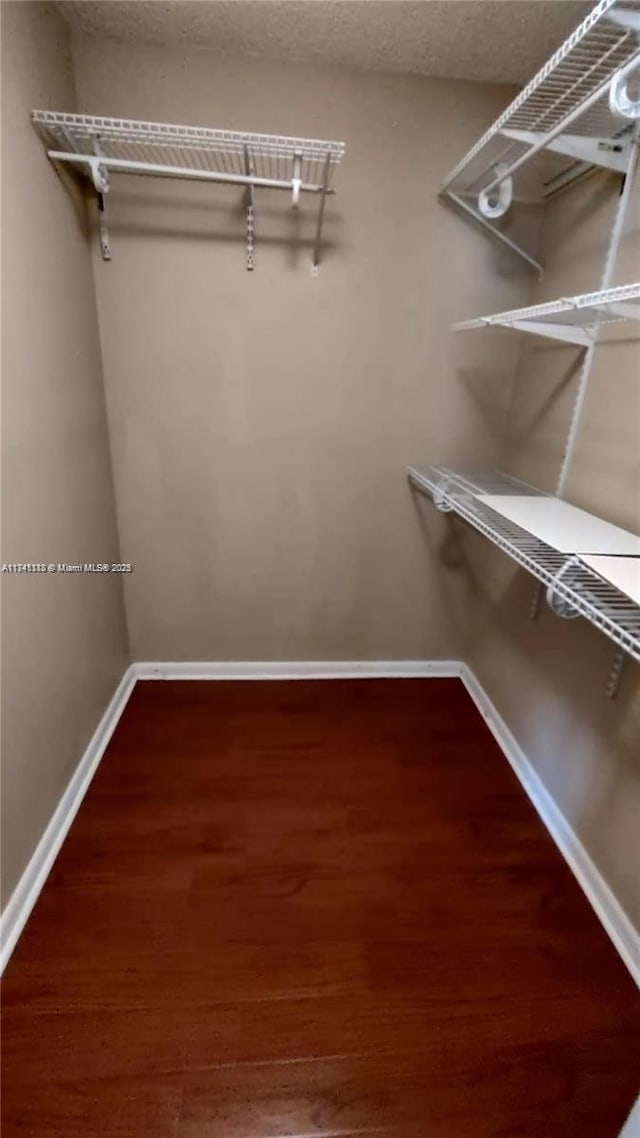 walk in closet with hardwood / wood-style flooring