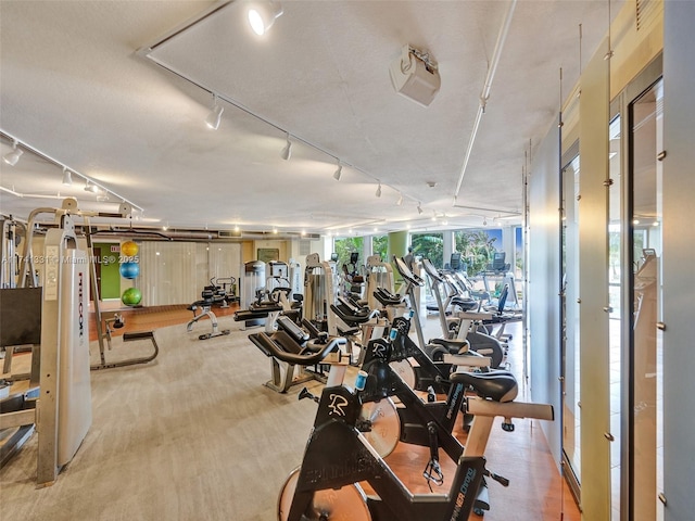 2681 N Flamingo Rd Unit 605S, Sunrise, FL 33323 - exercise room featuring rail lighting