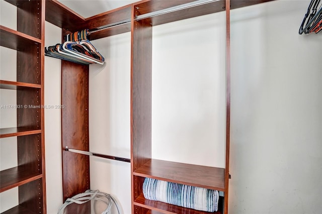 2681 N Flamingo Rd Unit 605S, Sunrise, FL 33323 - view of spacious closet