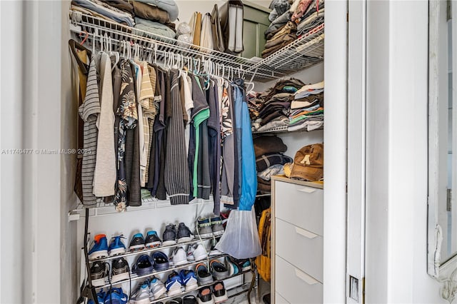 view of spacious closet