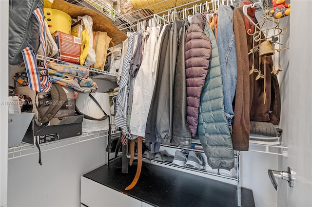 view of spacious closet