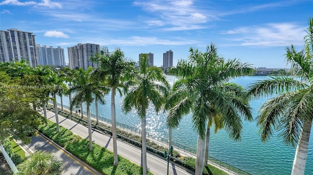 2801 NE 183rd St Unit 517W, Aventura, FL 33160 - water view featuring skyline