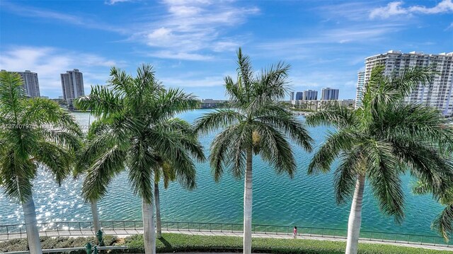 2801 NE 183rd St Unit 517W, Aventura, FL 33160 - water view with city skyline