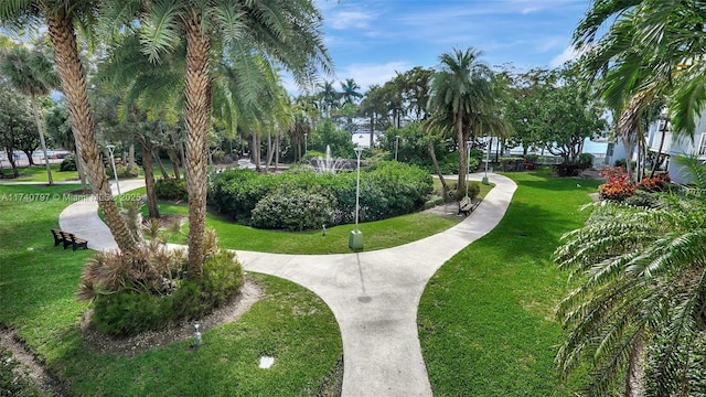 2801 NE 183rd St Unit 517W, Aventura, FL 33160 - view of home's community featuring a lawn