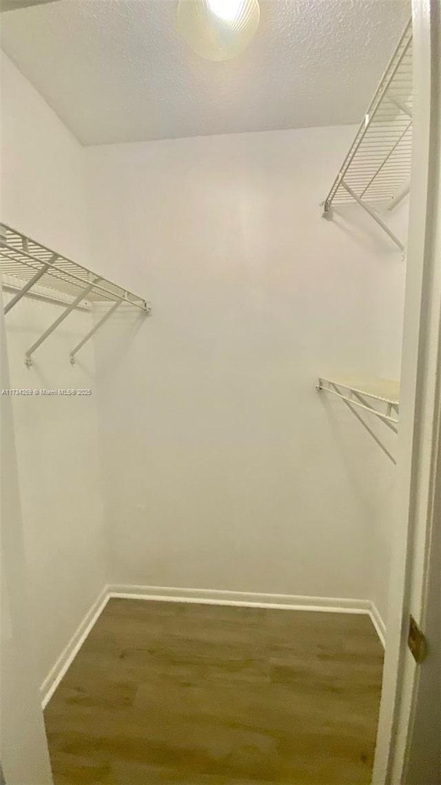 walk in closet featuring dark wood-type flooring