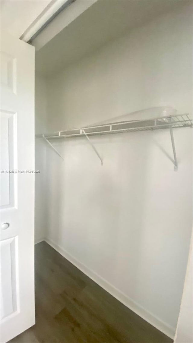 spacious closet with dark hardwood / wood-style floors