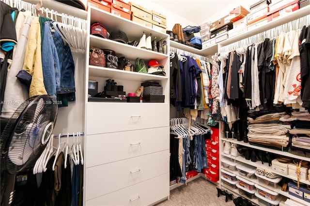 spacious closet with light carpet