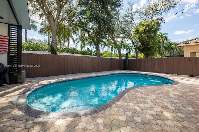 view of swimming pool with a patio area