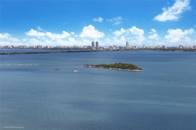 1900 N Bayshore Dr Unit 2004, Miami, FL 33132 - water view with city skyline