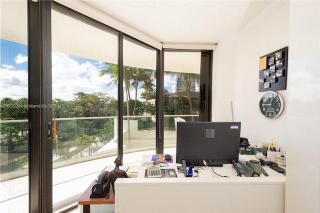 home office featuring a wall of windows