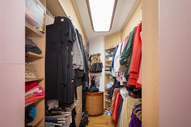 walk in closet featuring light hardwood / wood-style floors