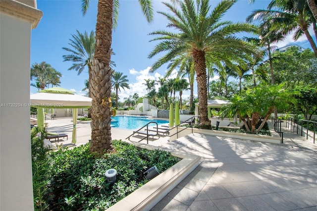 view of pool featuring a patio