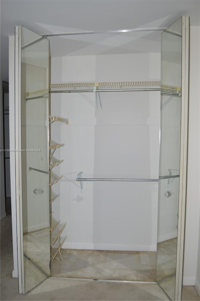 view of closet