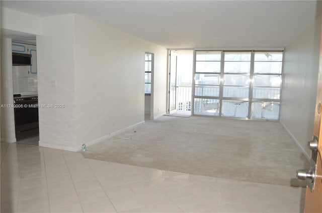 spare room featuring light colored carpet