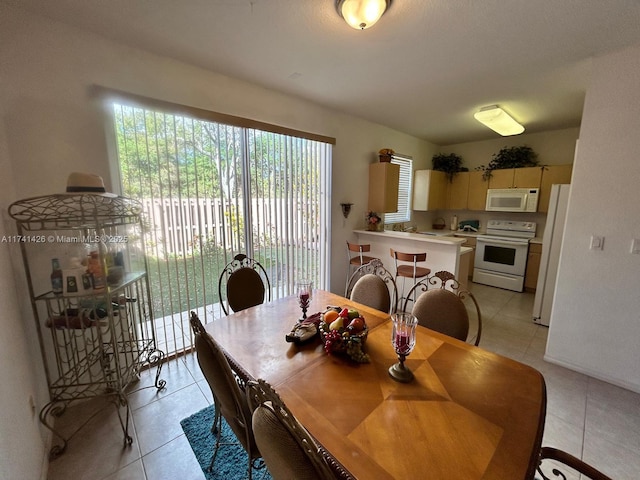 view of tiled dining room