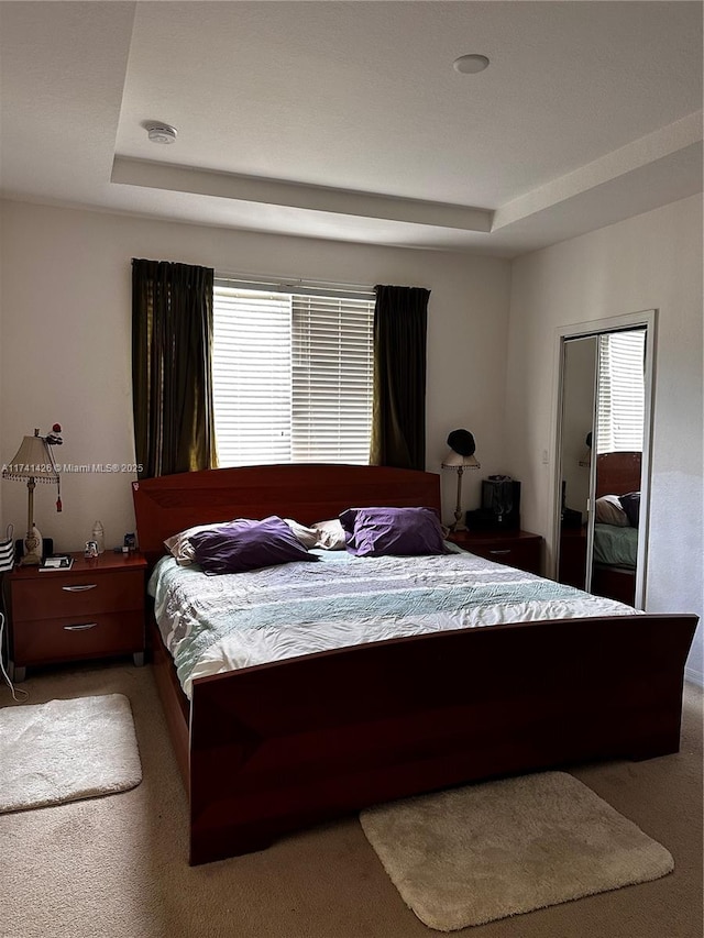 carpeted bedroom with multiple windows and a raised ceiling