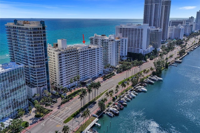 drone / aerial view with a water view