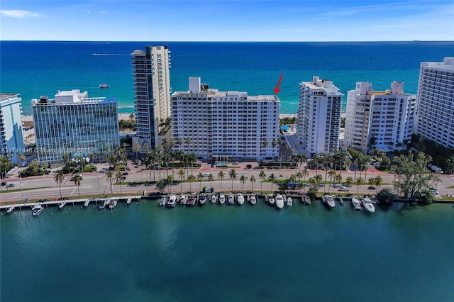 bird's eye view with a water view