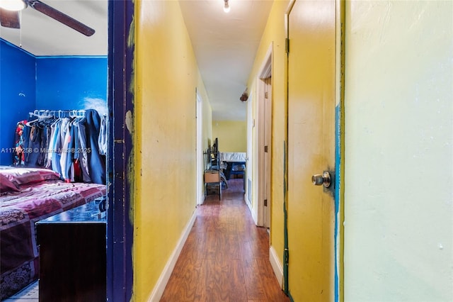 corridor with wood-type flooring