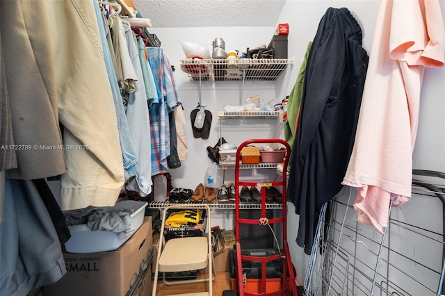 800 Parkview Dr Unit 523, Hallandale Beach, FL 33009 - view of walk in closet