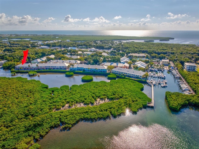 drone / aerial view with a water view