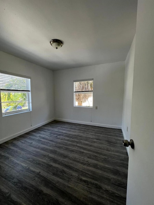 empty room featuring plenty of natural light and dark wood-type flooring