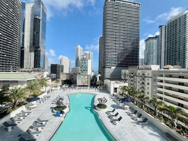 view of pool featuring a patio