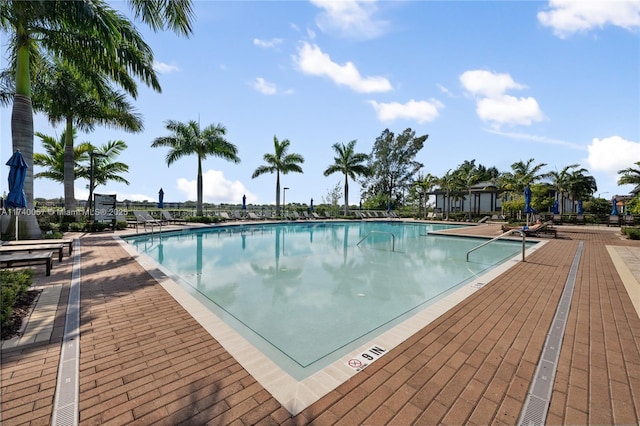 view of swimming pool featuring a patio