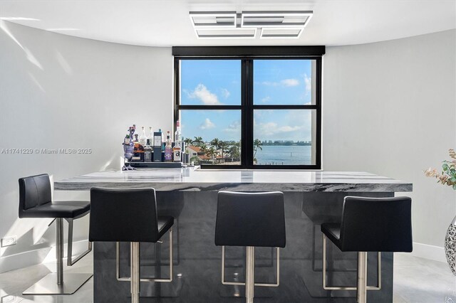 bar featuring a water view