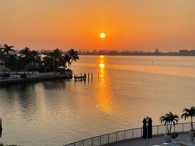 water view featuring a boat dock