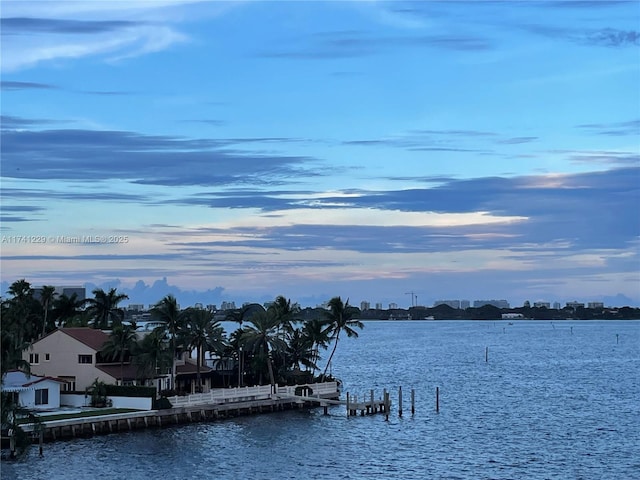 property view of water with a boat dock