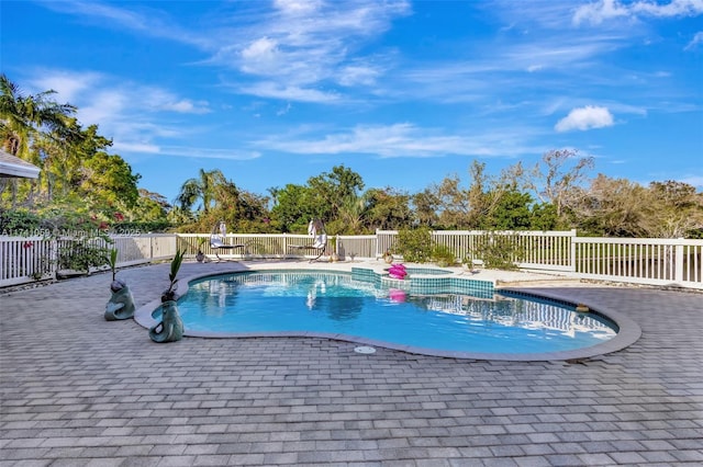 view of pool with a patio area