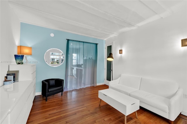 living room with hardwood / wood-style floors