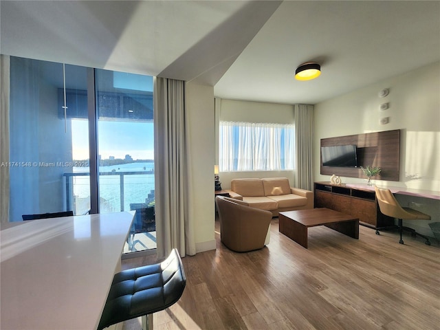 living room with hardwood / wood-style floors