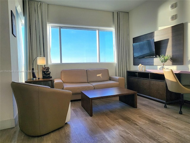 living room featuring light hardwood / wood-style flooring