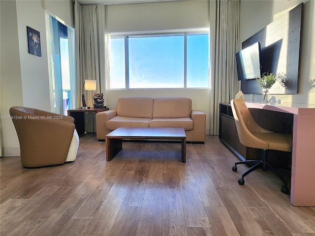 living room featuring wood-type flooring