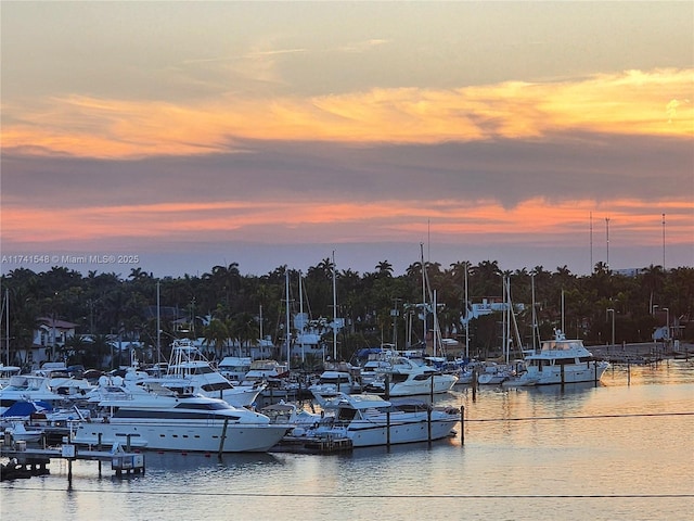 exterior space with a boat dock