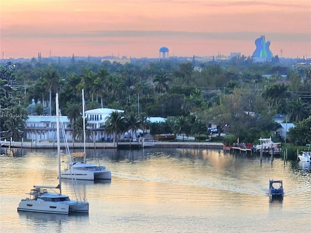 777 N Ocean Dr Unit S401, Hollywood, FL 33019 - water view featuring a boat dock