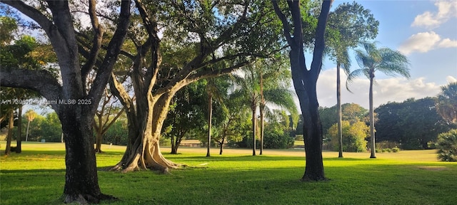 view of home's community with a lawn