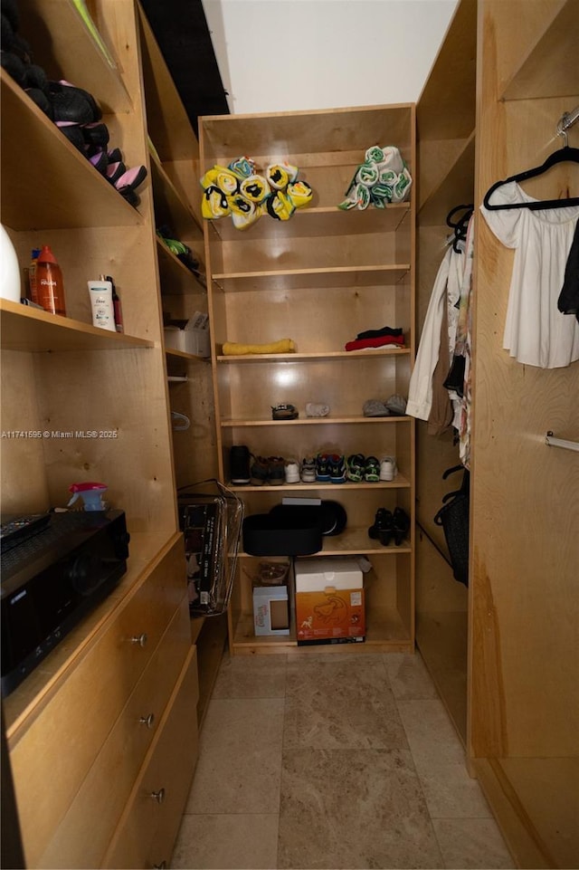 view of spacious closet