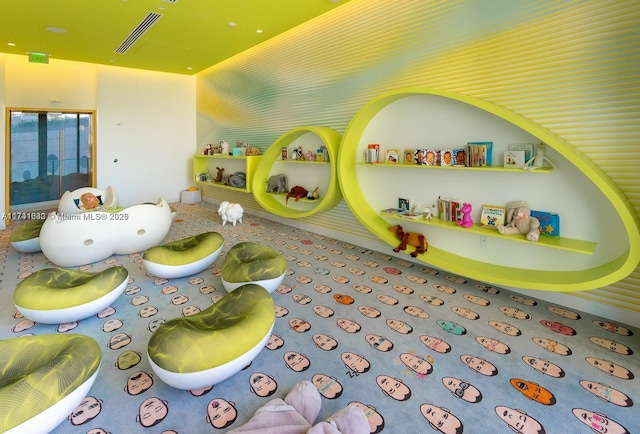 playroom with carpet floors