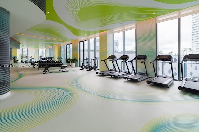 workout area featuring a wall of windows