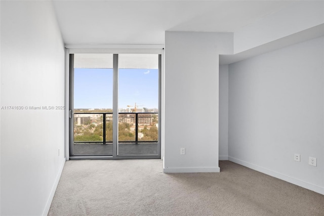 empty room with carpet, baseboards, and expansive windows