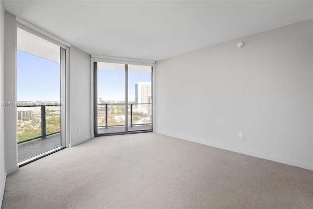 carpeted spare room with baseboards and floor to ceiling windows