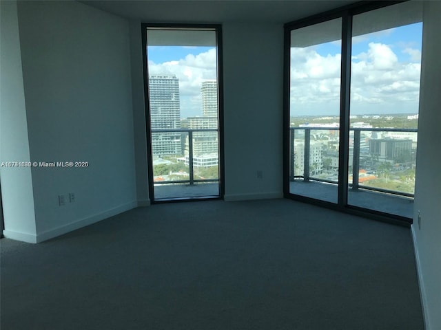 carpeted spare room featuring plenty of natural light and a wall of windows