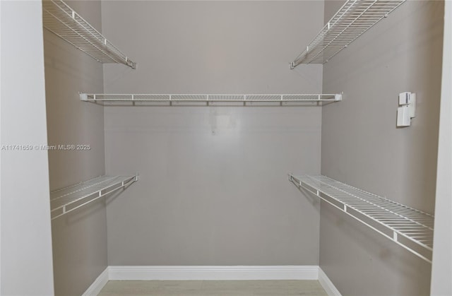 spacious closet featuring wood finished floors