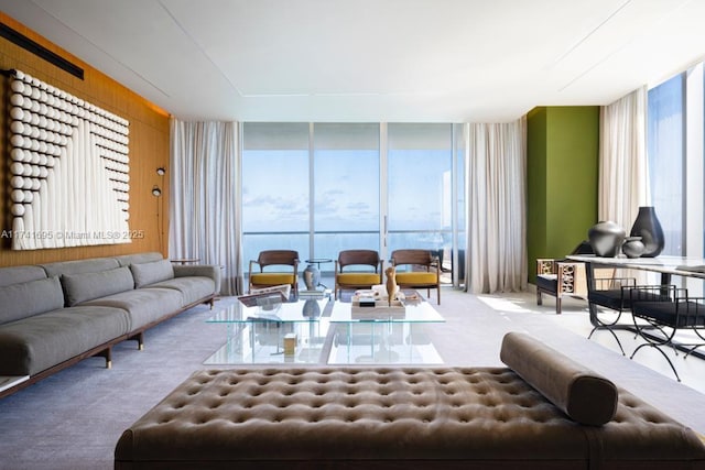 carpeted living room with a wall of windows and a wealth of natural light