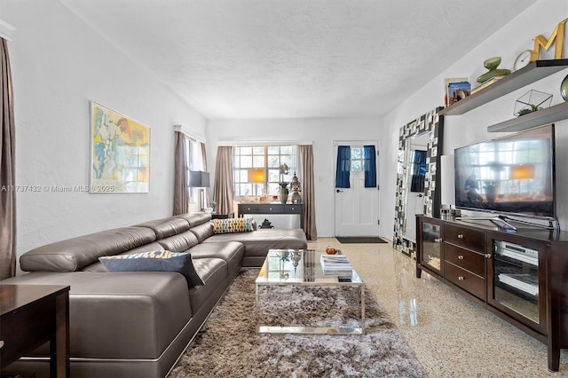 living room with a textured ceiling