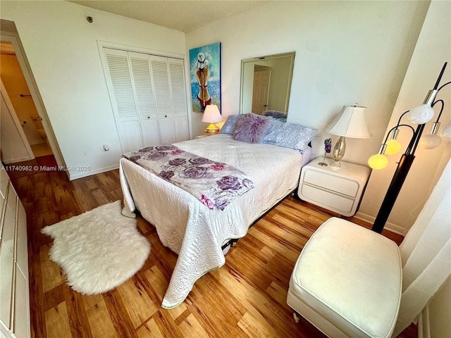 3850 Washington St Unit 317, Hollywood, FL 33021 - bedroom with hardwood / wood-style floors and a closet